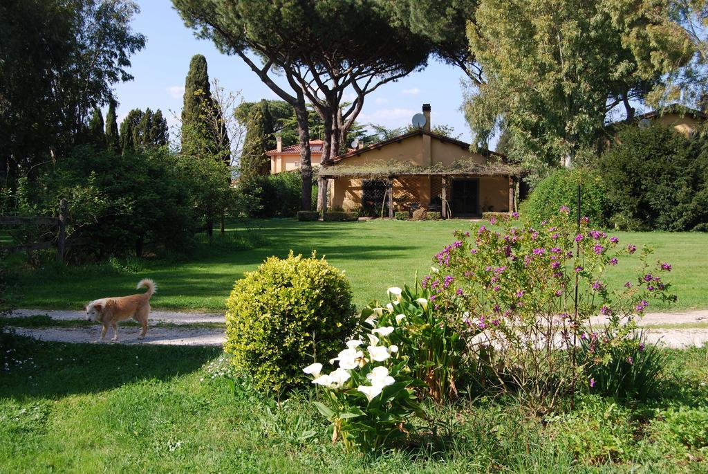 Casa Vacanze Vigna Di Valle Bracciano  Pokoj fotografie