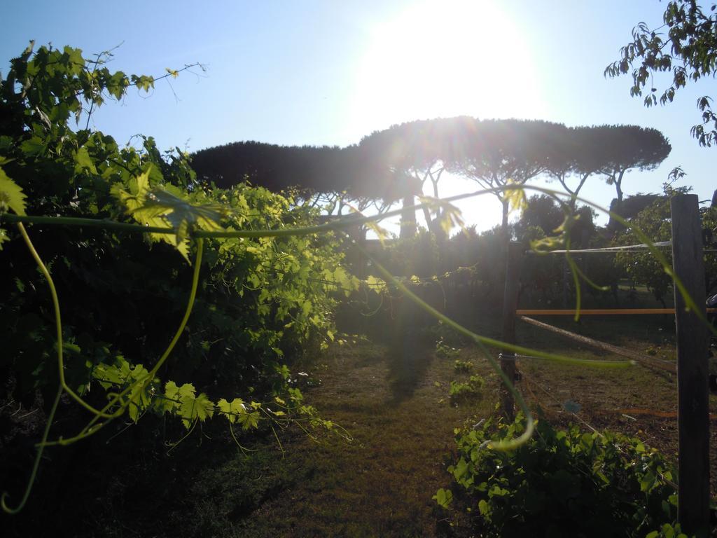 Casa Vacanze Vigna Di Valle Bracciano  Exteriér fotografie