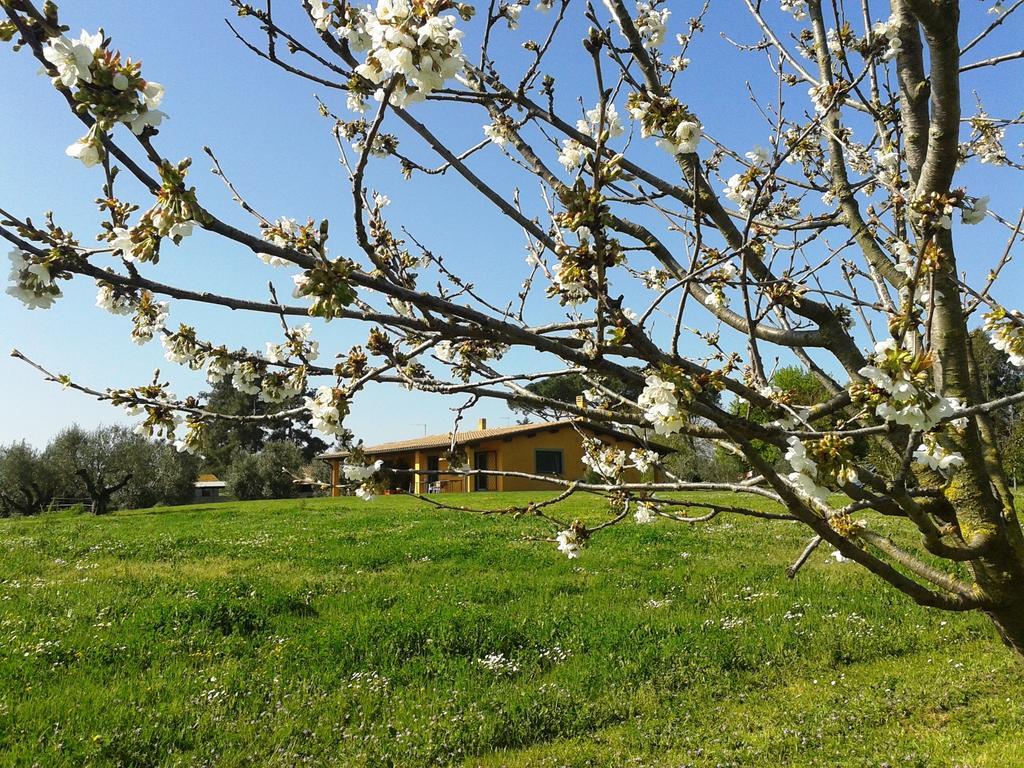 Casa Vacanze Vigna Di Valle Bracciano  Exteriér fotografie