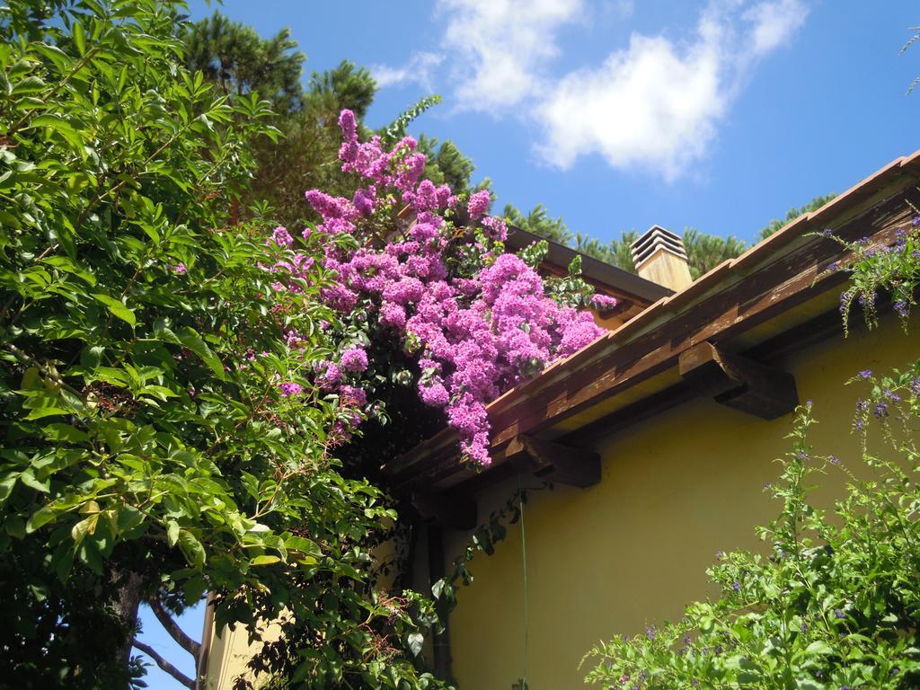 Casa Vacanze Vigna Di Valle Bracciano  Pokoj fotografie