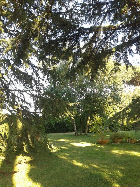 Casa Vacanze Vigna Di Valle Bracciano  Exteriér fotografie
