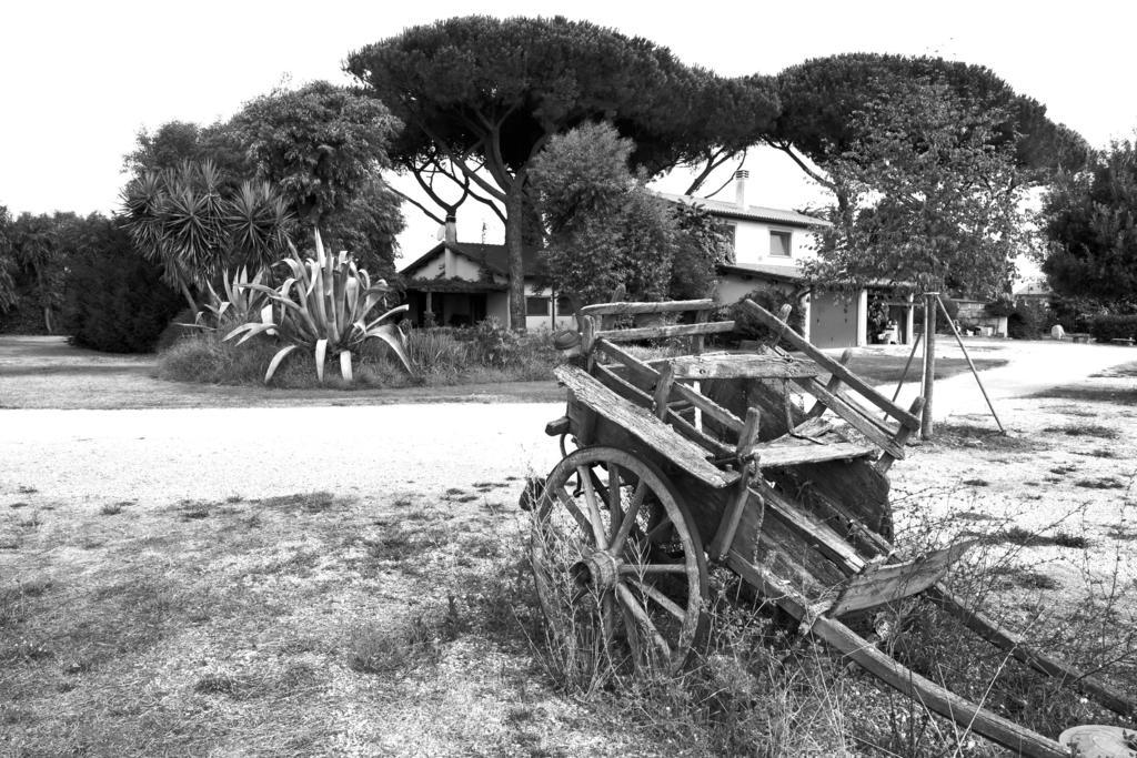Casa Vacanze Vigna Di Valle Bracciano  Exteriér fotografie